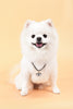 Lade das Bild in den Galerie-Viewer, Hingebungsvoller Schutz - Bronze-Emaille Böses Auge Hundemarke