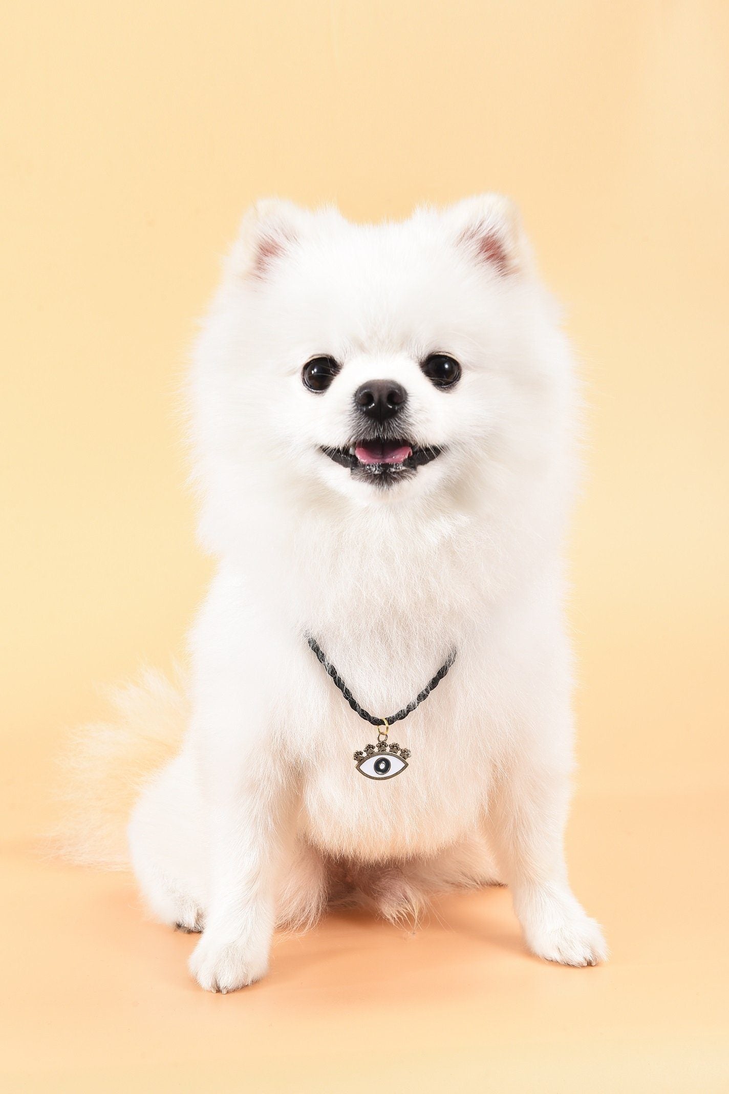 Hingebungsvoller Schutz - Bronze-Emaille Böses Auge Hundemarke